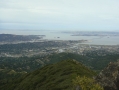 Mount Tamalpais